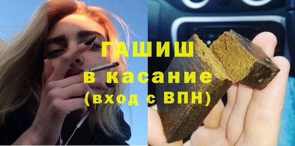 молекула духа Богородицк